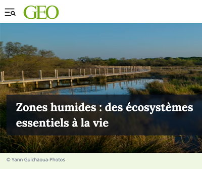 Zones humides : des écosystèmes essentiels à la vie